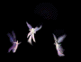 litefairies1.gif