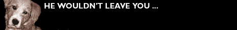 newdisaster.gif